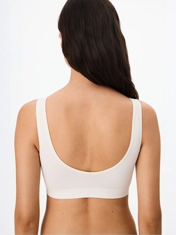 Classique Soutien-gorge 'BHs & Bralettes' Penti en marron