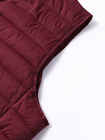 ALLTHEMEN Vest 'Stichlinie' in Red