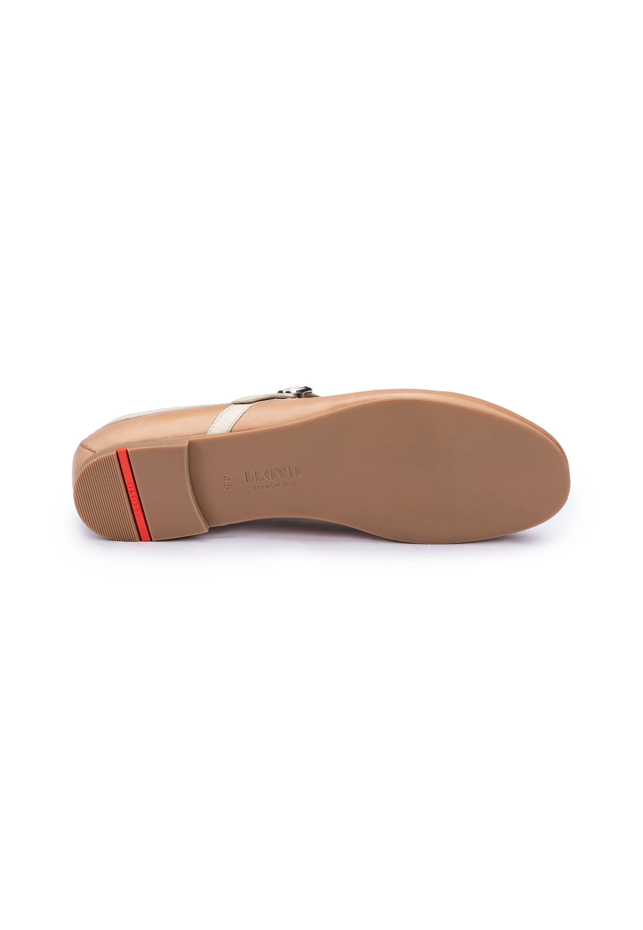 Slipper di LLOYD in marrone