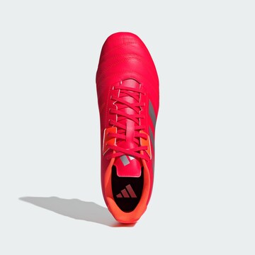 Chaussure de sport 'Kakari Elite' ADIDAS PERFORMANCE en rouge