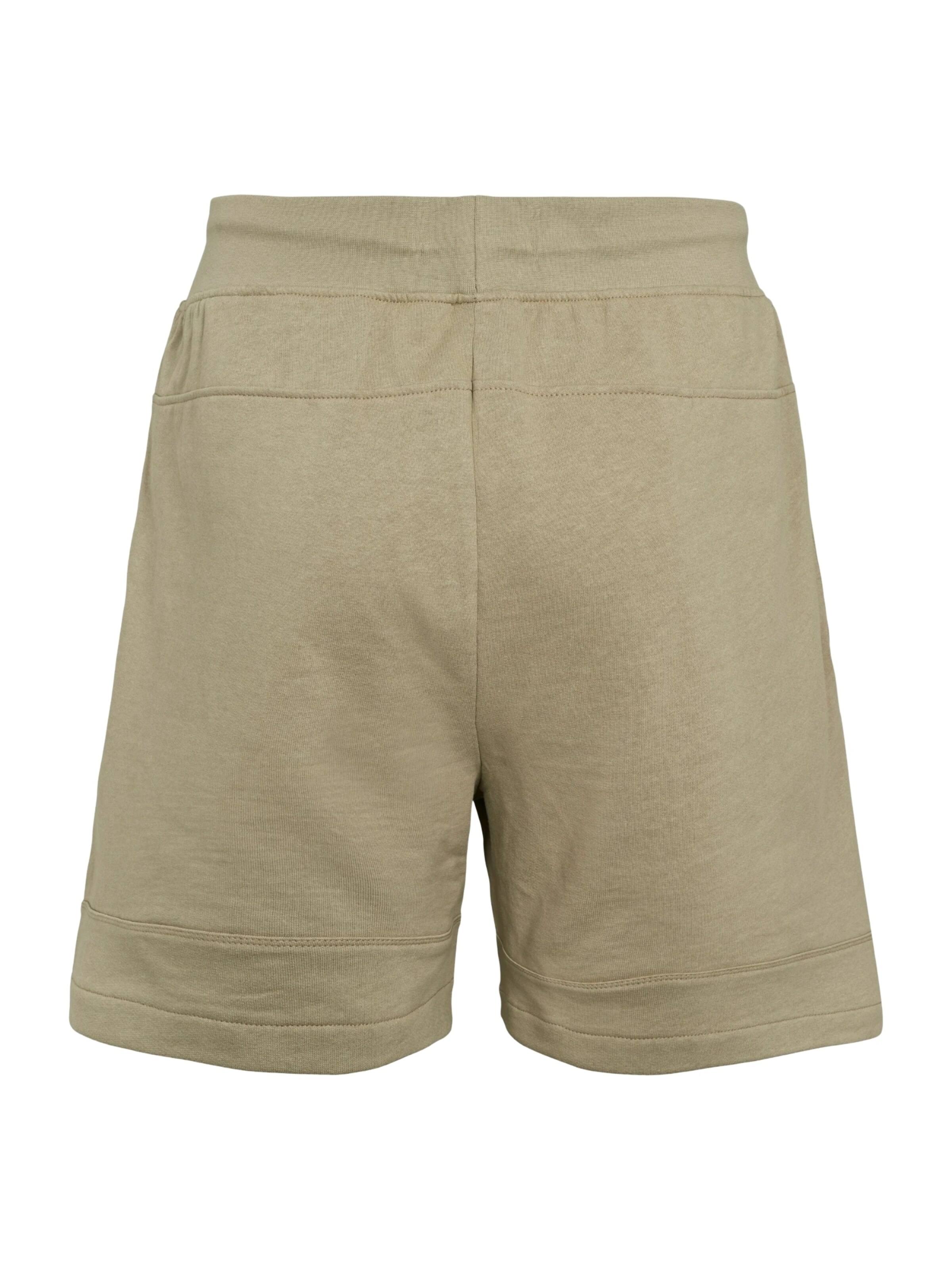 U.S. POLO ASSN. Board Shorts in Beige