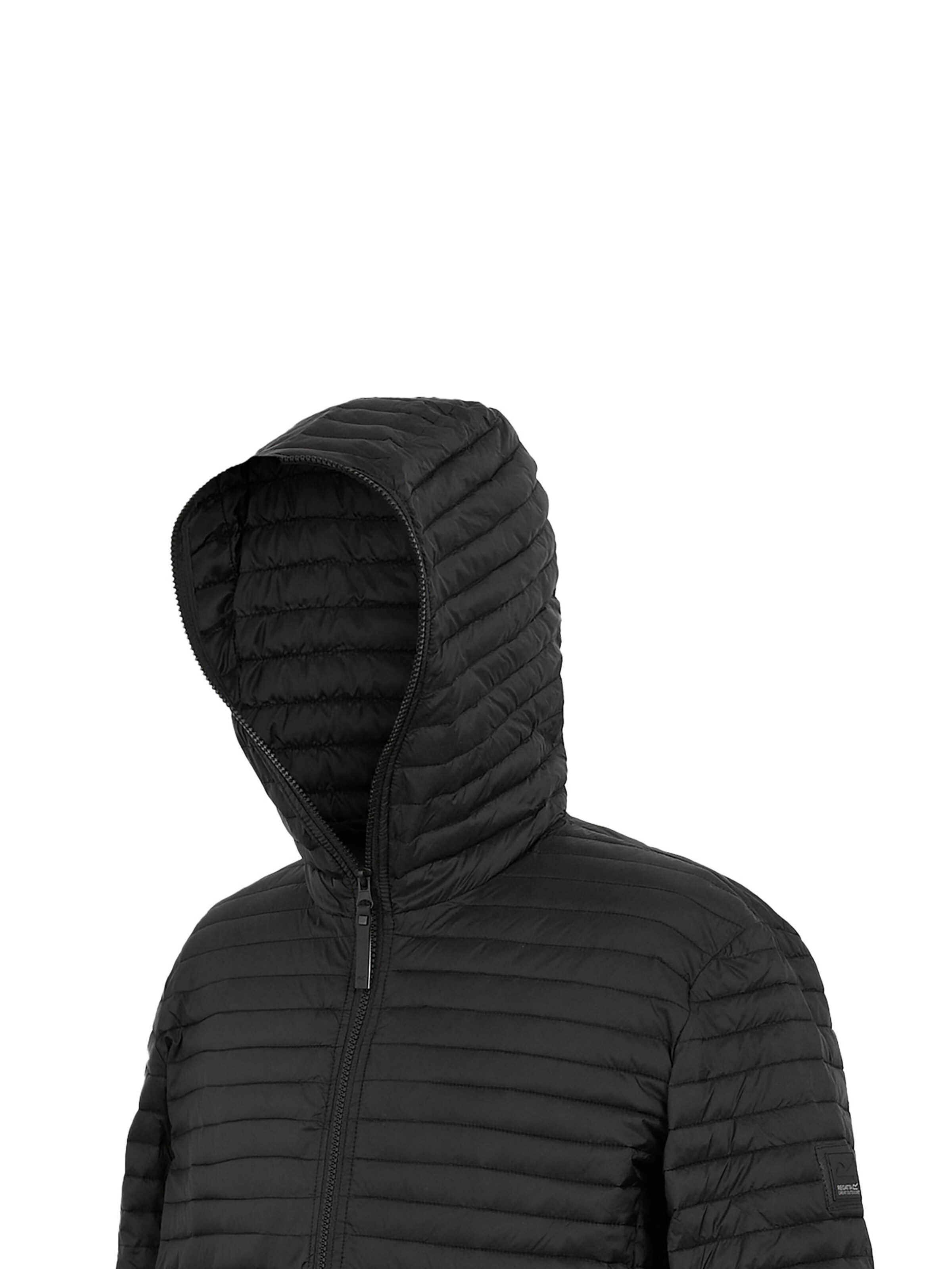 REGATTA Winterjas 'Rigain' in Zwart