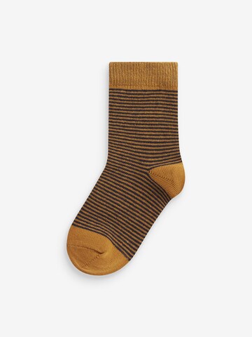 Chaussettes Next en mélange de couleurs