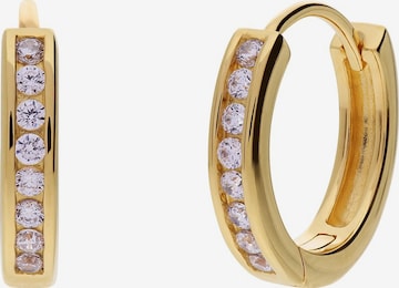 Lucardi Earrings in Gold: front