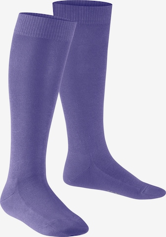 FALKE Socks 'Family' in Purple: front