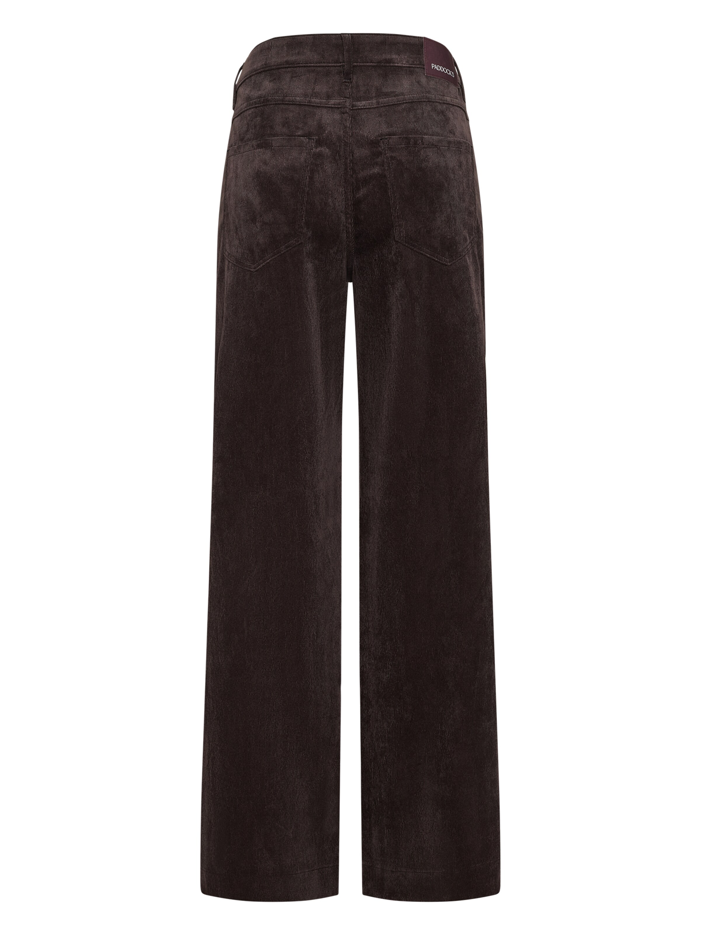 PADDOCKS Regular Pants in Brown
