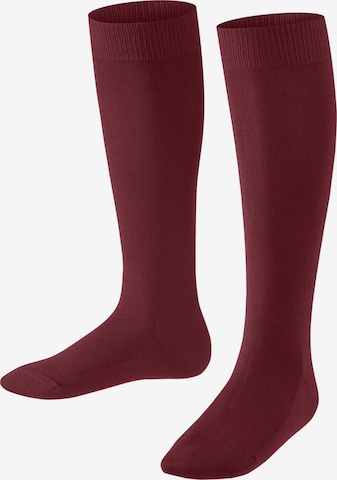 FALKE Socks 'Family' in Red: front