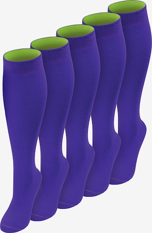 Chaussettes montantes ' ' normani en bleu : devant