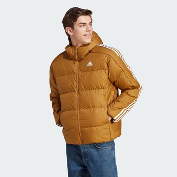 Veste outdoor 'Essentials' ADIDAS SPORTSWEAR en marron : devant