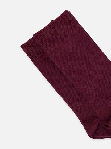 DillySocks Socks 'D-Compose 2er Set' in Red