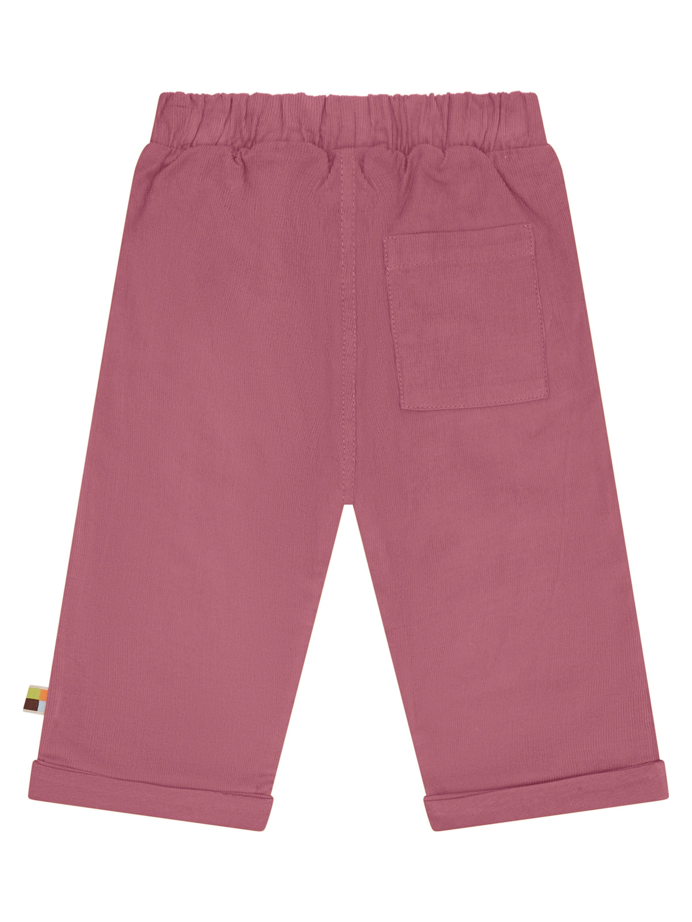 loud + proud Regular Pants in Purple