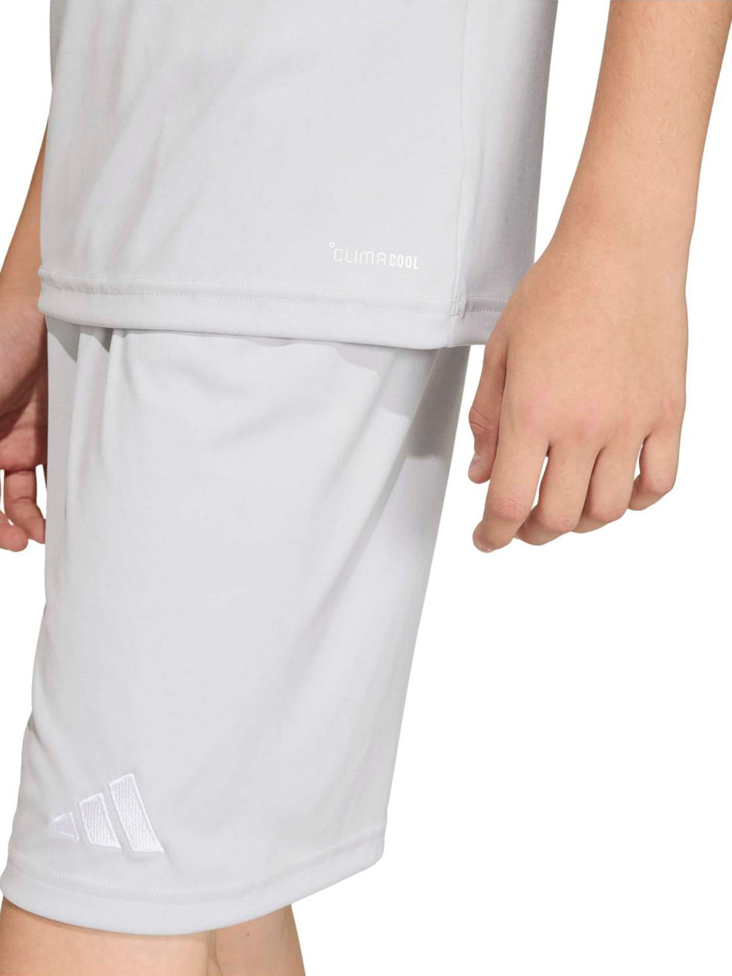 ADIDAS PERFORMANCETehnička sportska majica 'ENT26' - siva boja