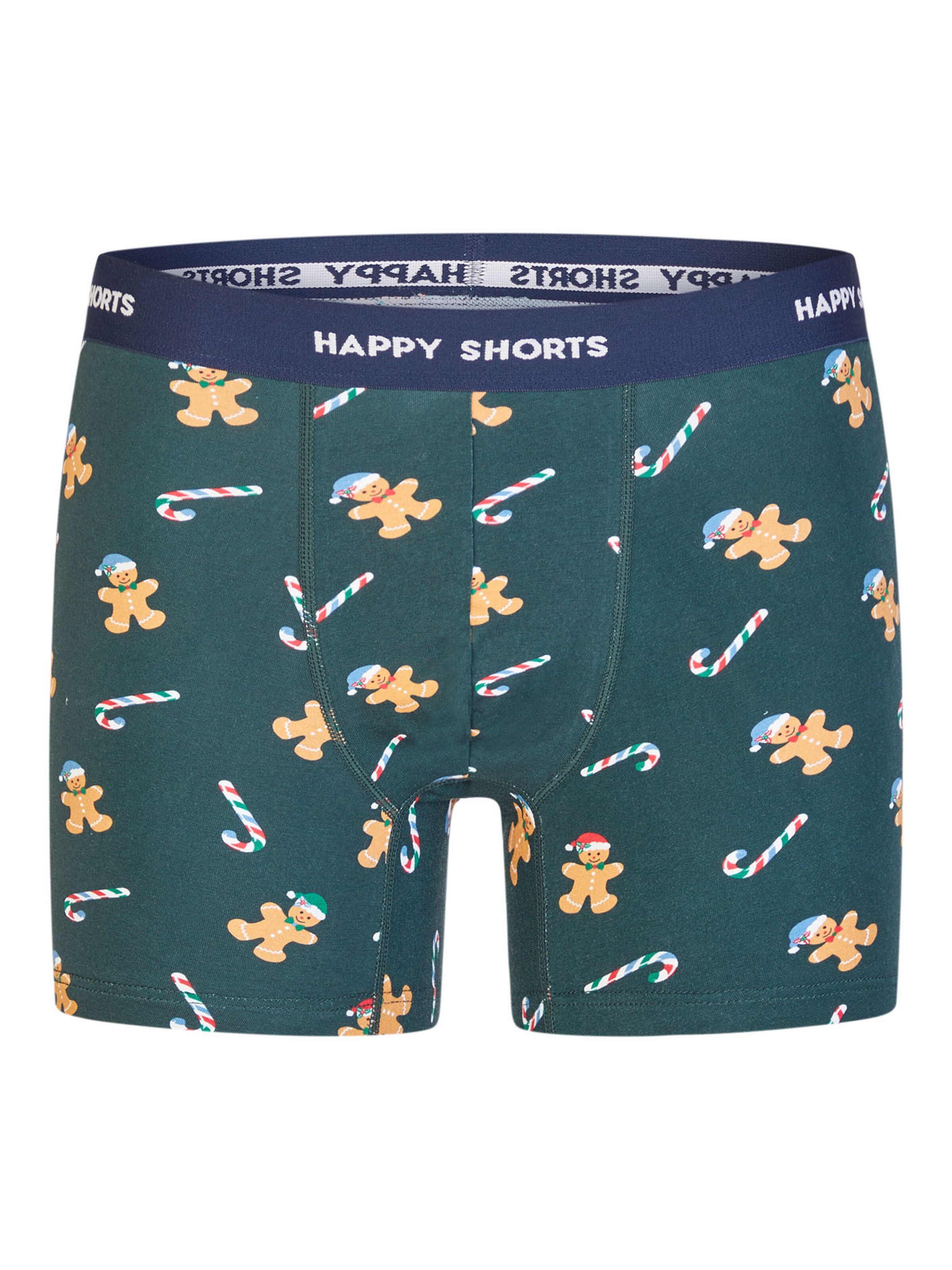 Happy Shorts Boxer shorts 'Christmas' in Blue