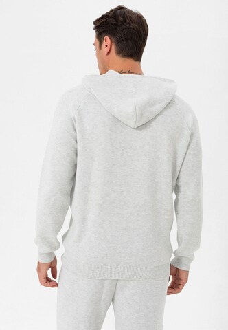 Pull-over Jimmy Sanders en gris