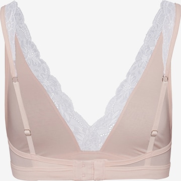 Hanro Triangle Bra ' Cotton Lace ' in Beige