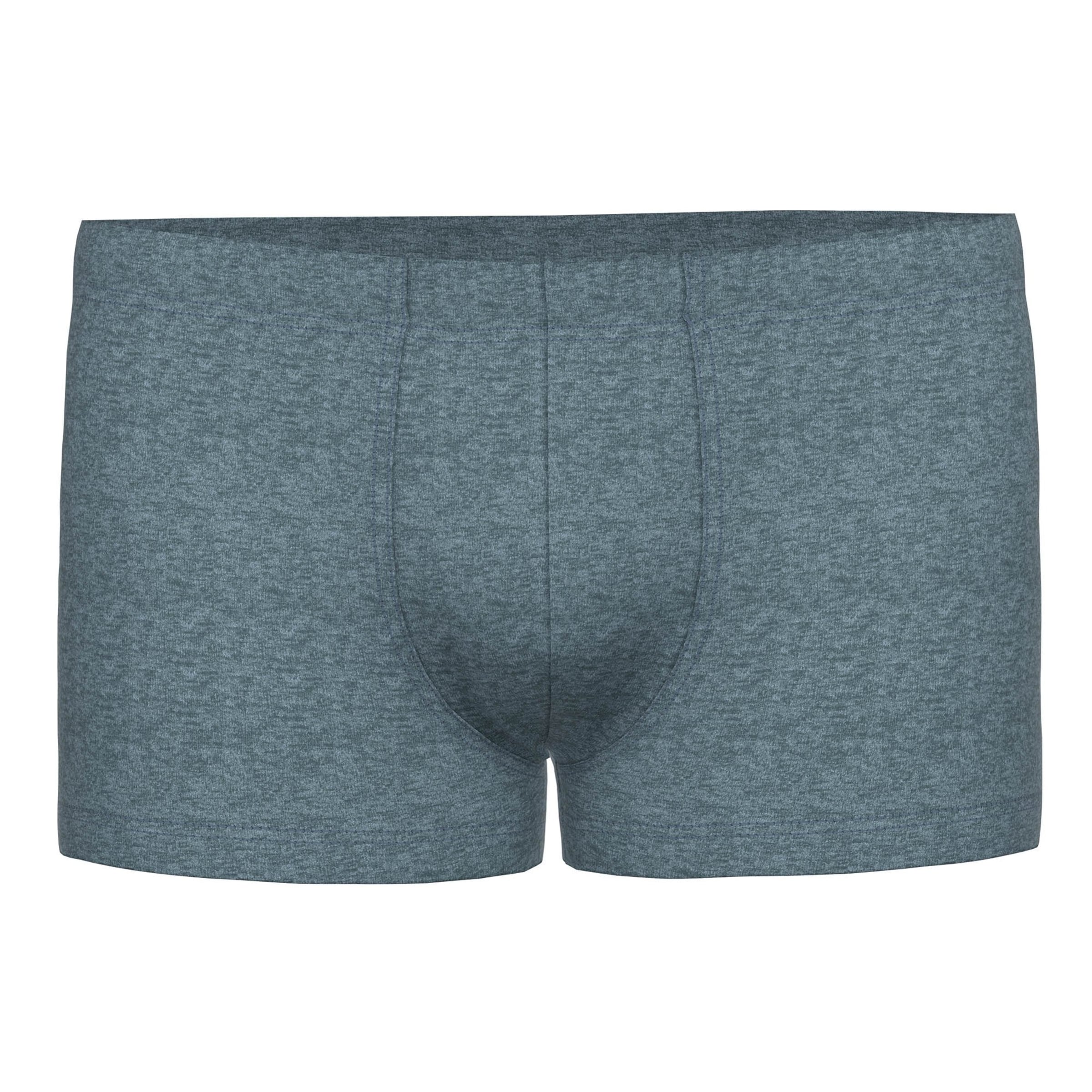 SEIDENSTICKER Boxer shorts in Mixed colours