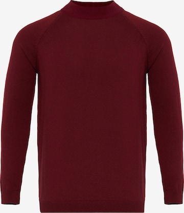 raudona Dandalo Megztinis: priekis