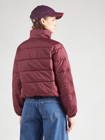 Geacă de primăvară-toamnă 'PIPER' de la LEVI'S ® pe roșu: spate