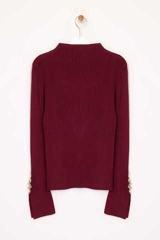 Trendyol Pullover in Rot