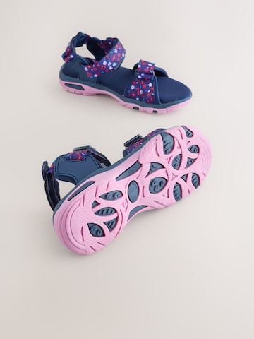 Sandales Next en violet