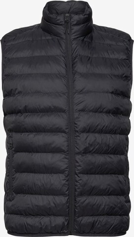 ESPRIT Bodywarmer in Zwart: voorkant