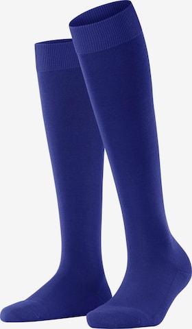 FALKE Kniestrümpfe 'ClimaWool' in Blau: Vorderseite