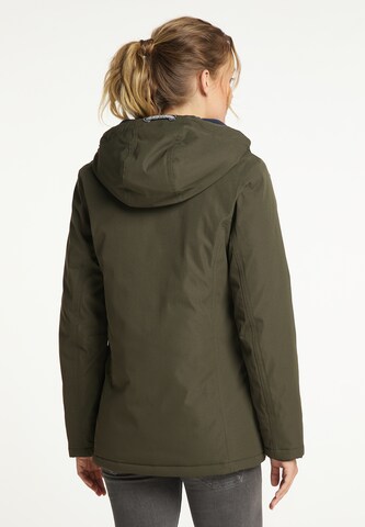 Schmuddelwedda Winter Jacket in Green