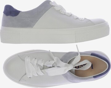 Legero Sneakers & Trainers in 38 in White: front