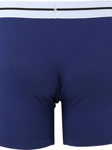 alan red Boxershorts in Zwart