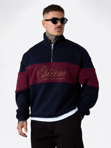 ESTEEM Sweatshirt in Blue: front