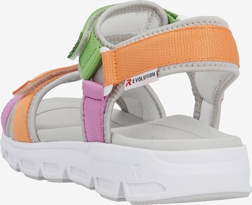 Rieker EVOLUTION Sandals in Mixed colors