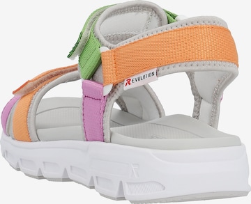 Rieker EVOLUTION Sandals in Mixed colors