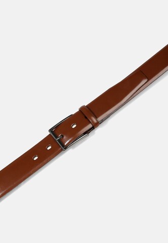 Lloyd Men's Belts Belt in Brown