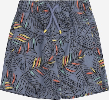 mėlyna s.Oliver Laisvas Kelnės: priekis