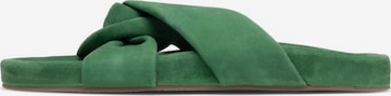 Bianco Mules in Green: front