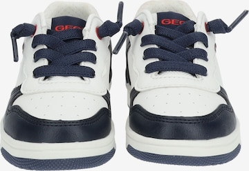 Baskets GEOX en blanc