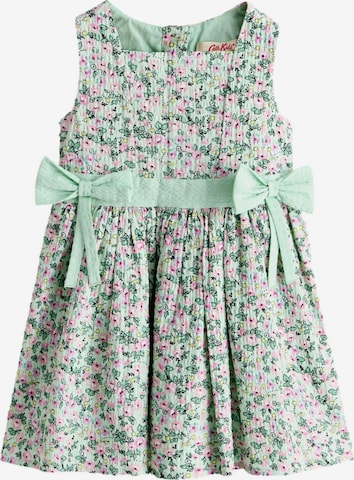 Next Kleid in Grün: Vorderseite