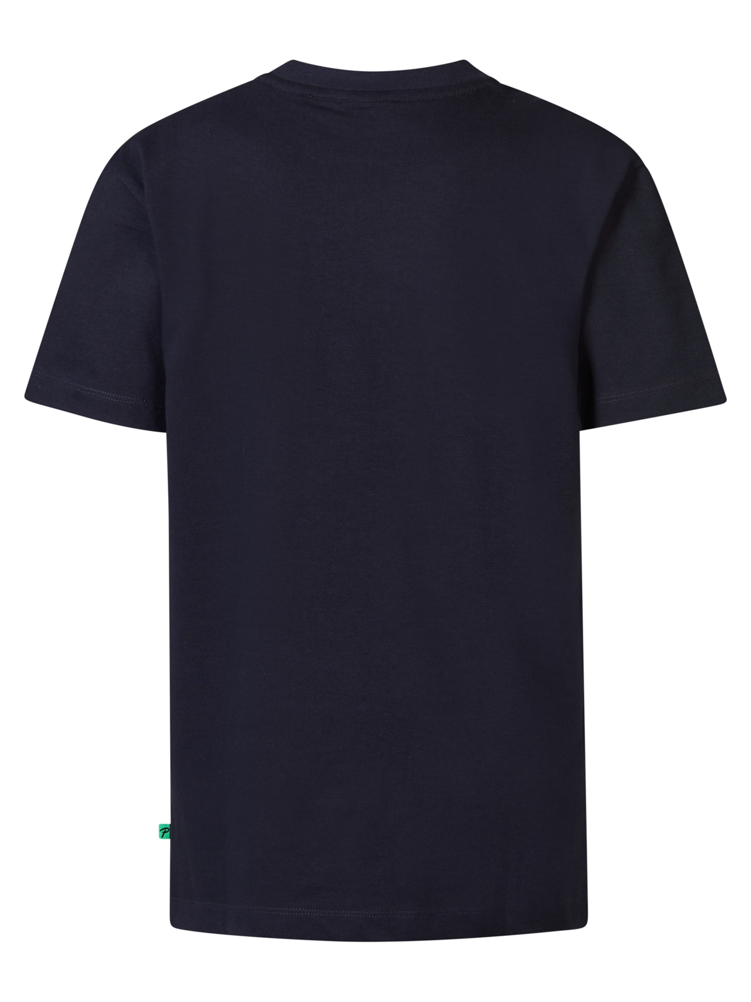 Petrol Industries Shirt 'Alexander' in Blue