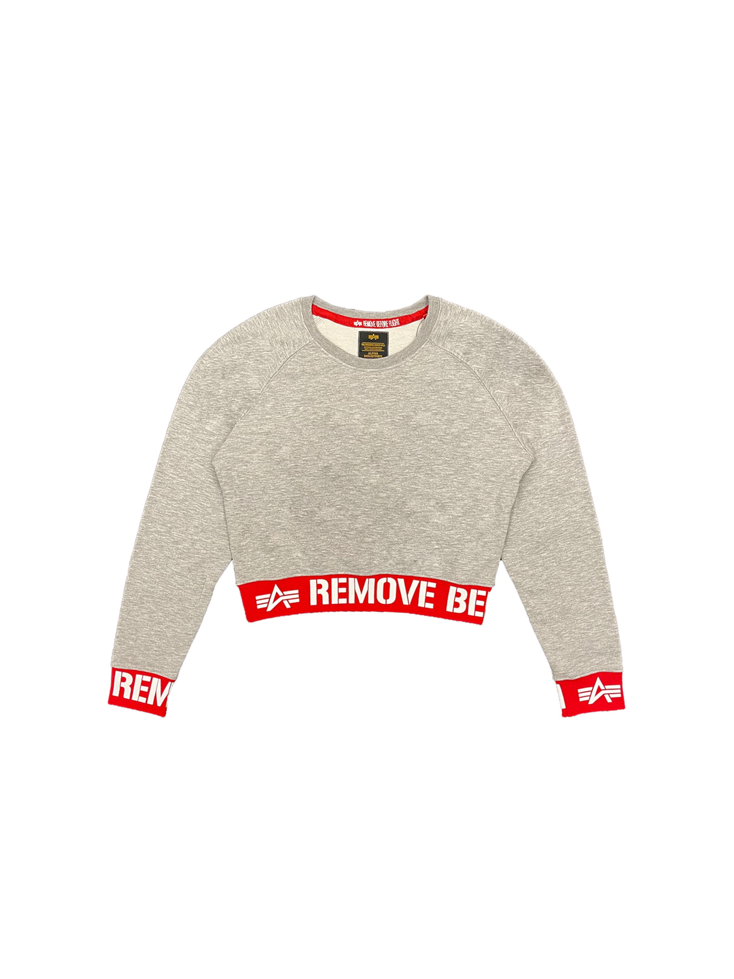 ALPHA INDUSTRIES Sweatshirt 'RBF' in Grey: front