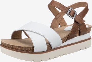 JOSEF SEIBEL Strap Sandals in White: front