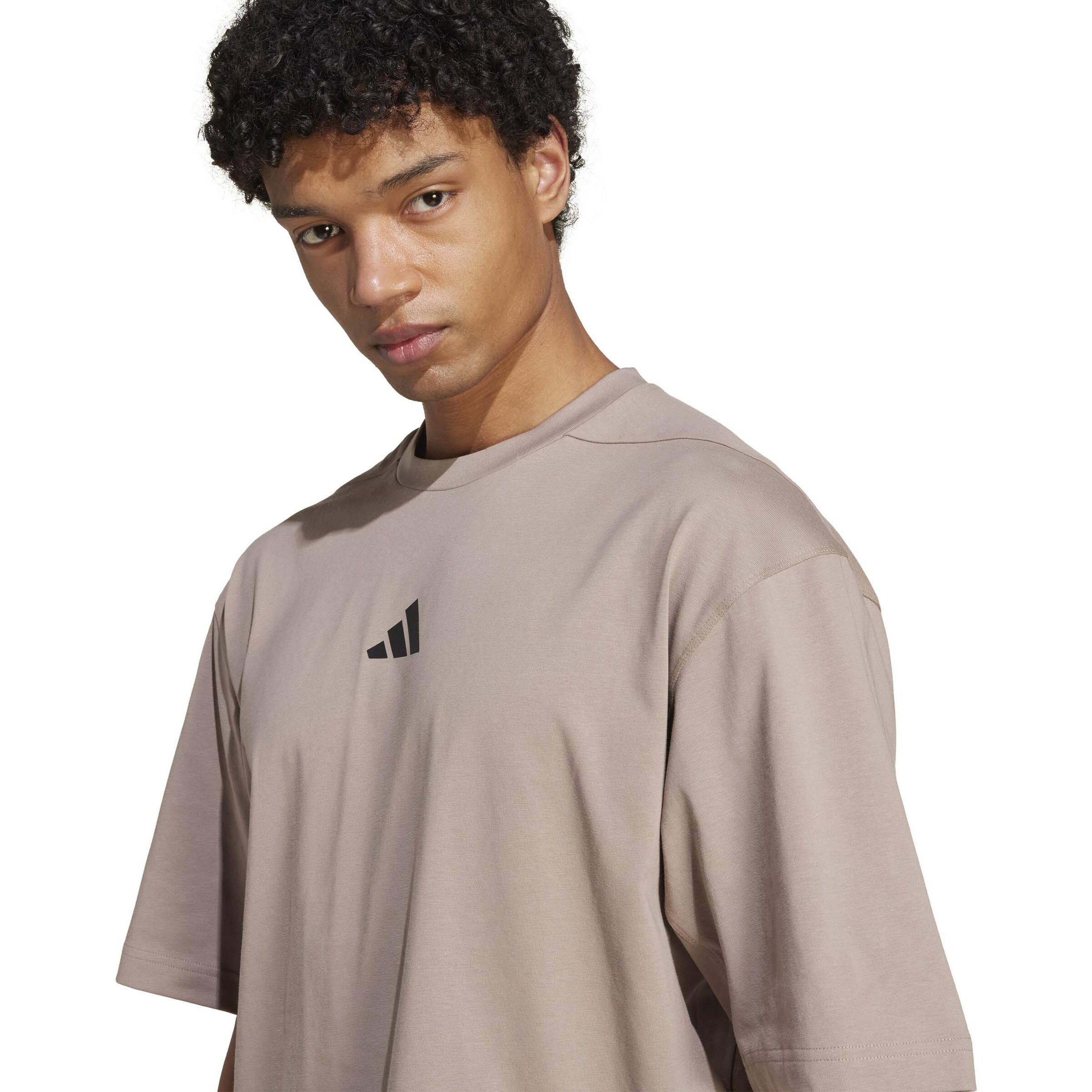 ADIDAS PERFORMANCE Performance Shirt in Grey