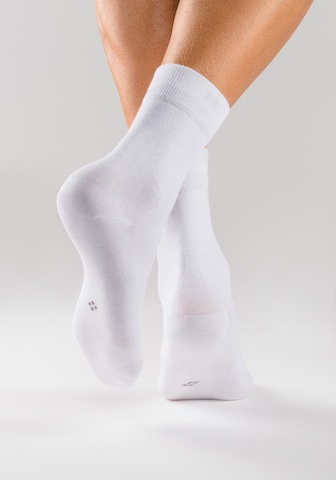 H.I.S Socks in White