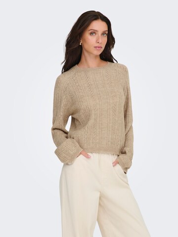 Pull-over 'JDYApril' JDY en marron