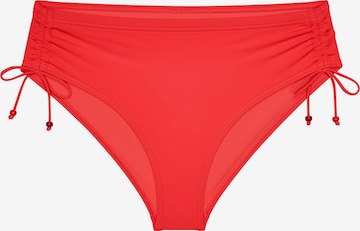 TRIUMPH Midi Bikinislip ' Red Label Mix & Match Summer ' in Orange: Vorderseite