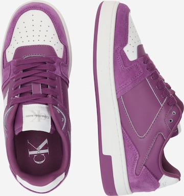 Baskets basses Calvin Klein Jeans en violet