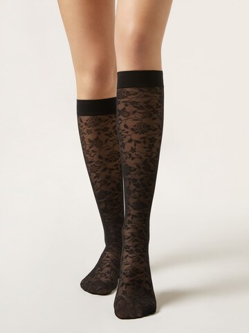 CALZEDONIA Knee High Socks in Black: front