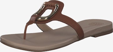UNISA T-Bar Sandals in Brown: front