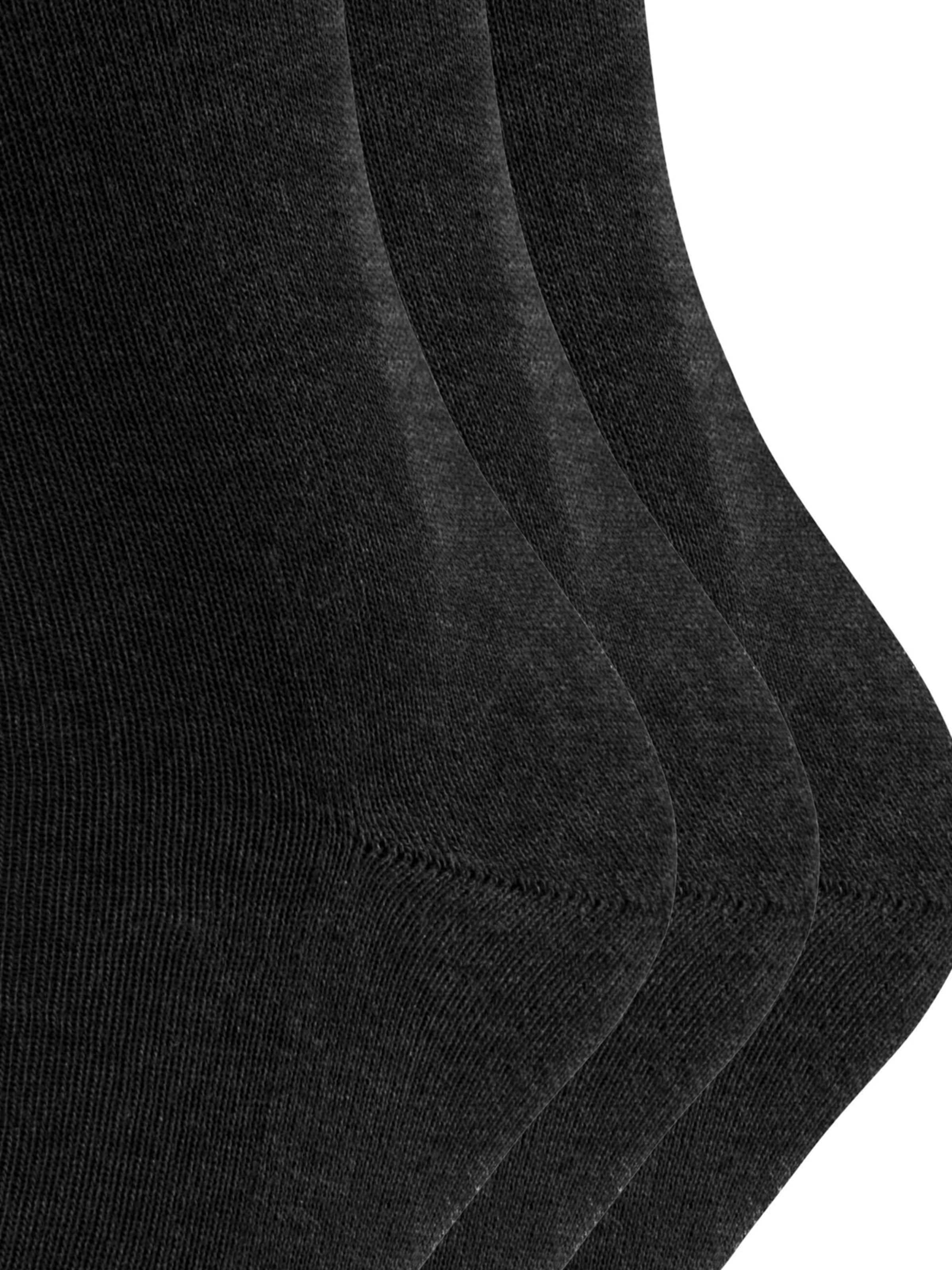 FALKE Socks 'Family' in Grey