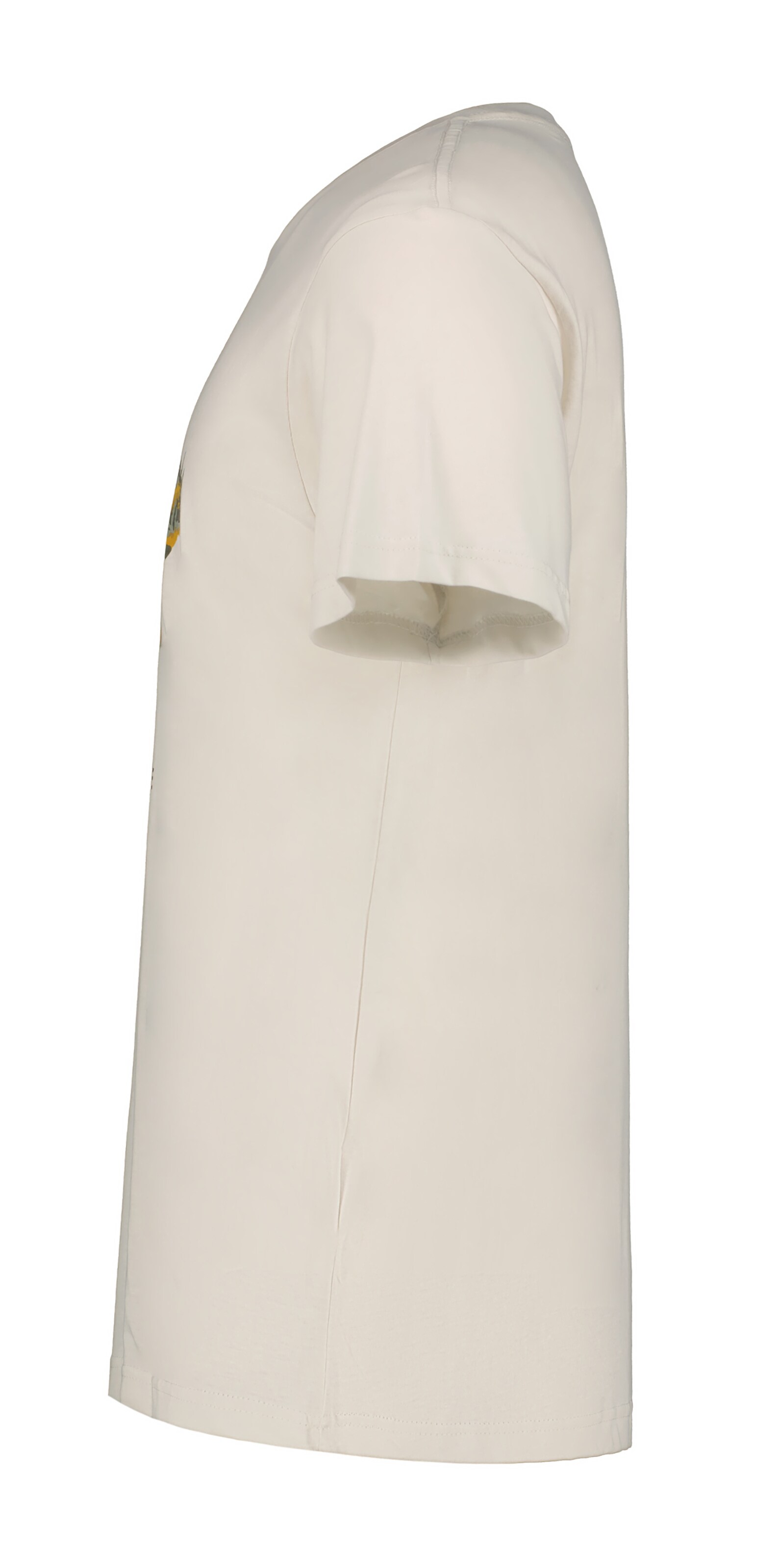 ICEPEAK Shirt in Pink