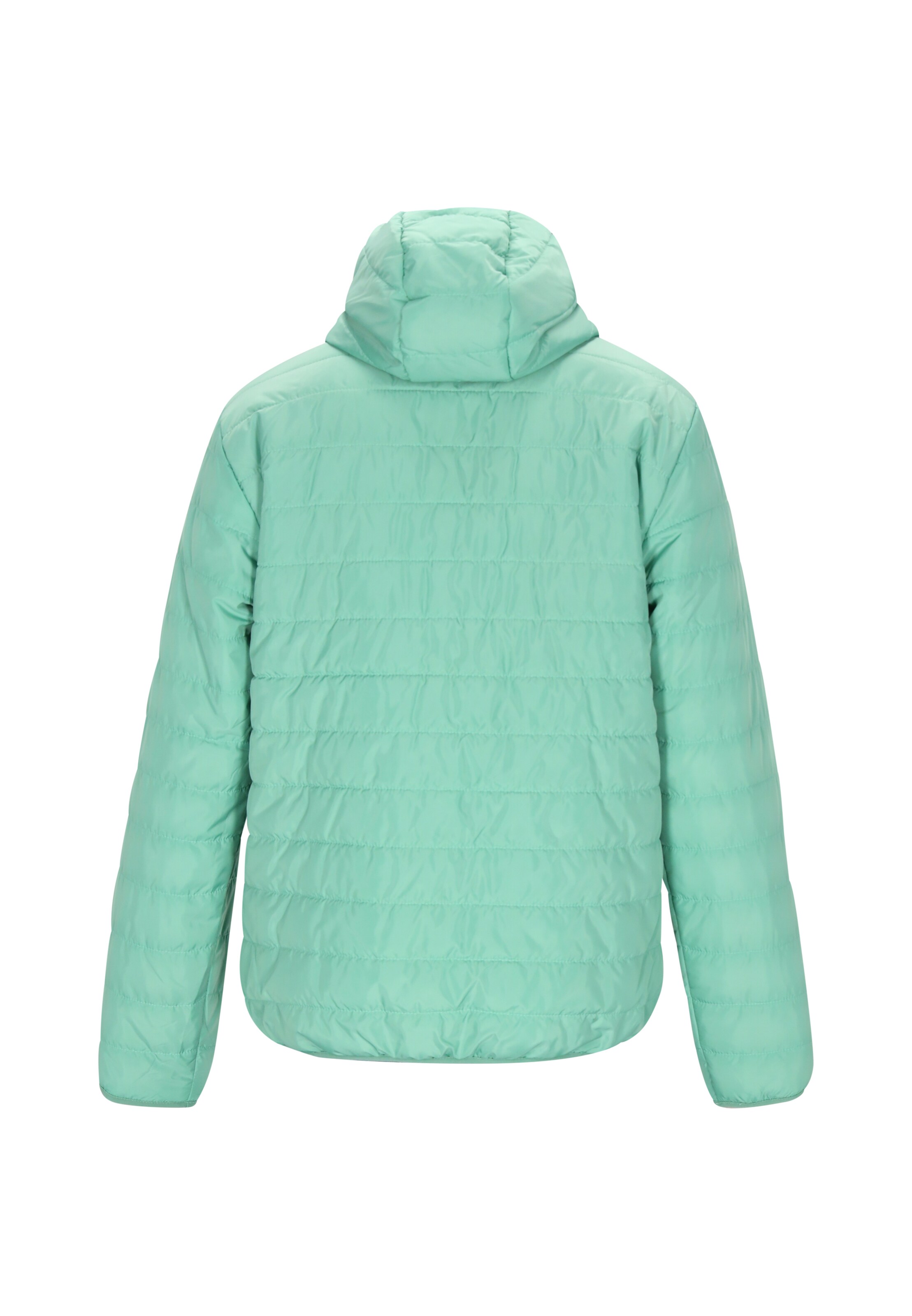 Reiswood Демисезонная куртка в Зеленый